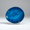 Genuine Banded Agate Slice with Acrylic Display Stand // 243g
