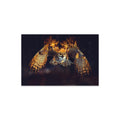 Owl On Fire Print On Acrylic Glass by Paul Haag