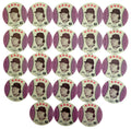 Lot of 23 - 1976 MSA Isaly's Discs Bobby Murcer San Francisco Gem Mint 153898