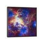 Tarantula Nebula (Spitzer Space Observatory) by NASA