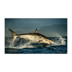 Shark Under control