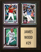 James Wood Washington Nationals Fan Gift Plaque 8x10 3 Cards Topps, Bowman 2024 2025 2026