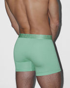 Flex Boxer Brief 5" Inseam Sage Green
