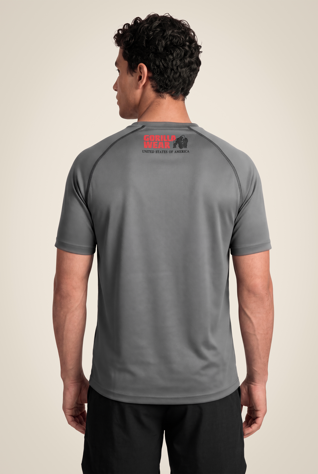 Performance T-Shirt - Gray