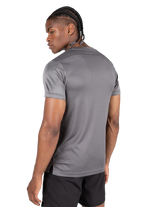 Washington T-Shirt - Gray