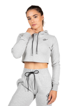 Pixley Crop Top Hoodie - Gray
