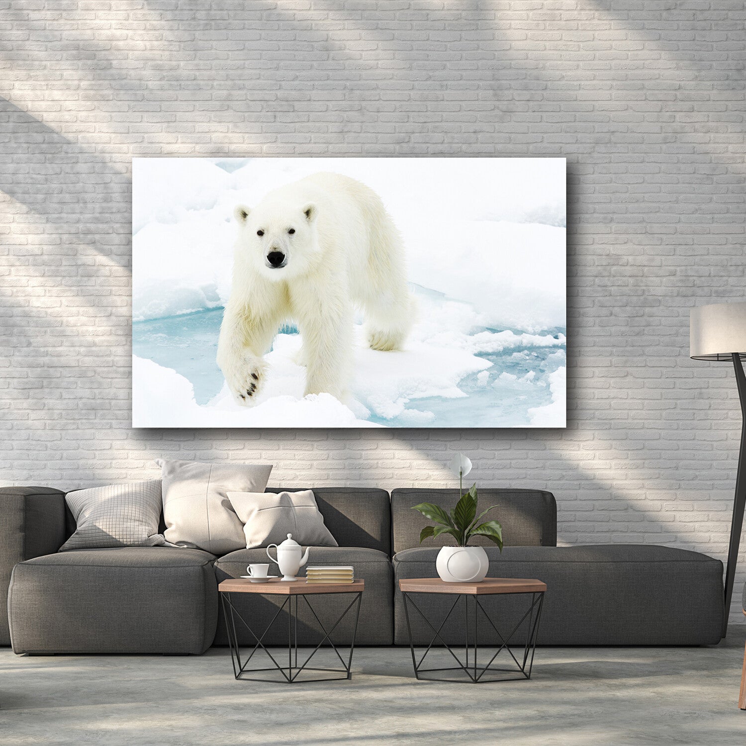 Polar Bear