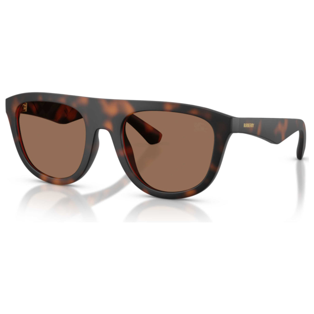 Burberry Men's 55mm Brown Sunglasses BE4459U-353673-55