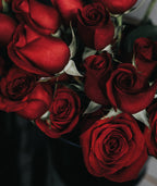 Floramour: Roses / Rosen