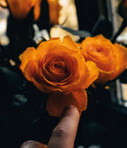 Floramour: Roses / Rosen