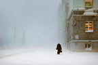 Lost in the Beauty of Bad Weather