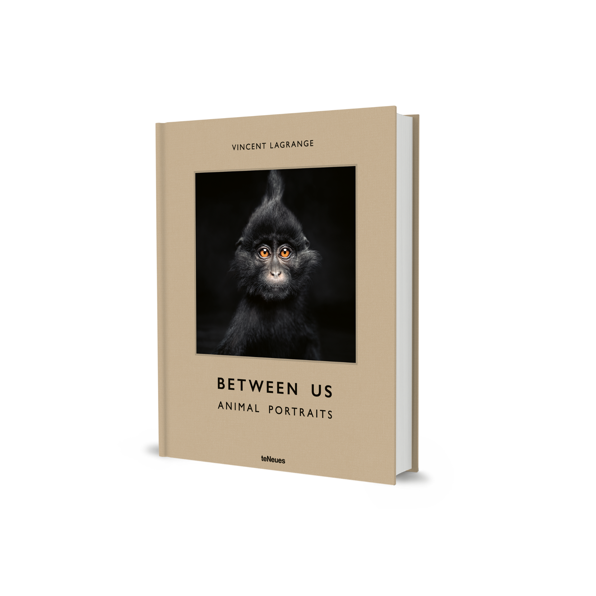 Between Us
