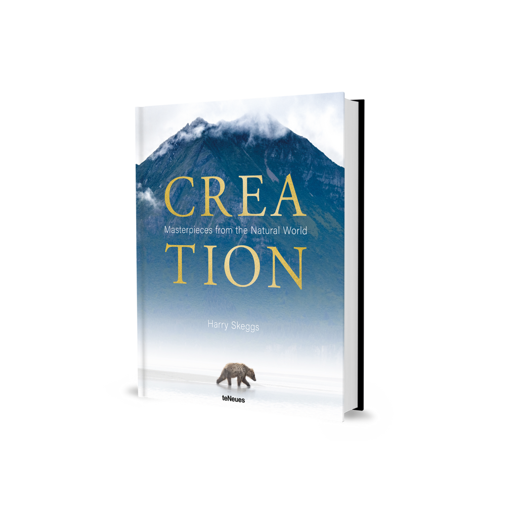Creation