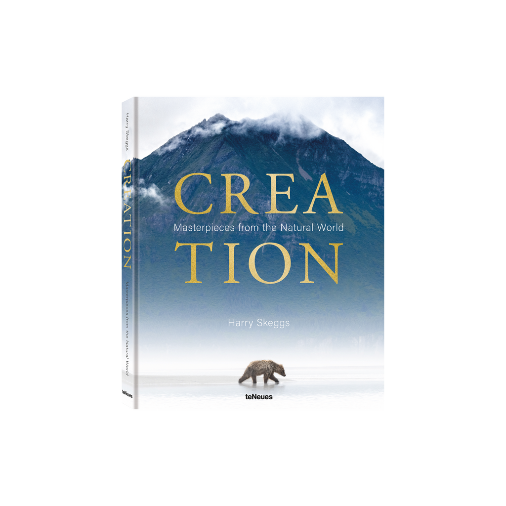 Creation