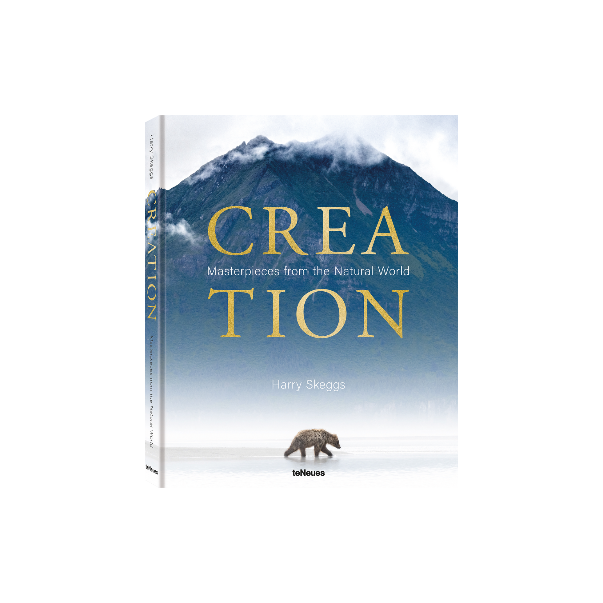 Creation