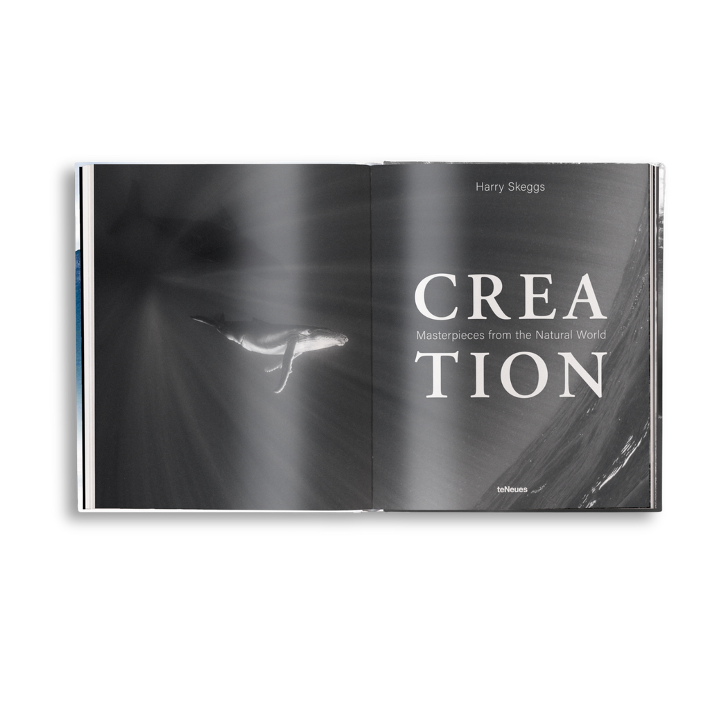 Creation