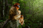 Mother