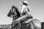 A Ranch Year