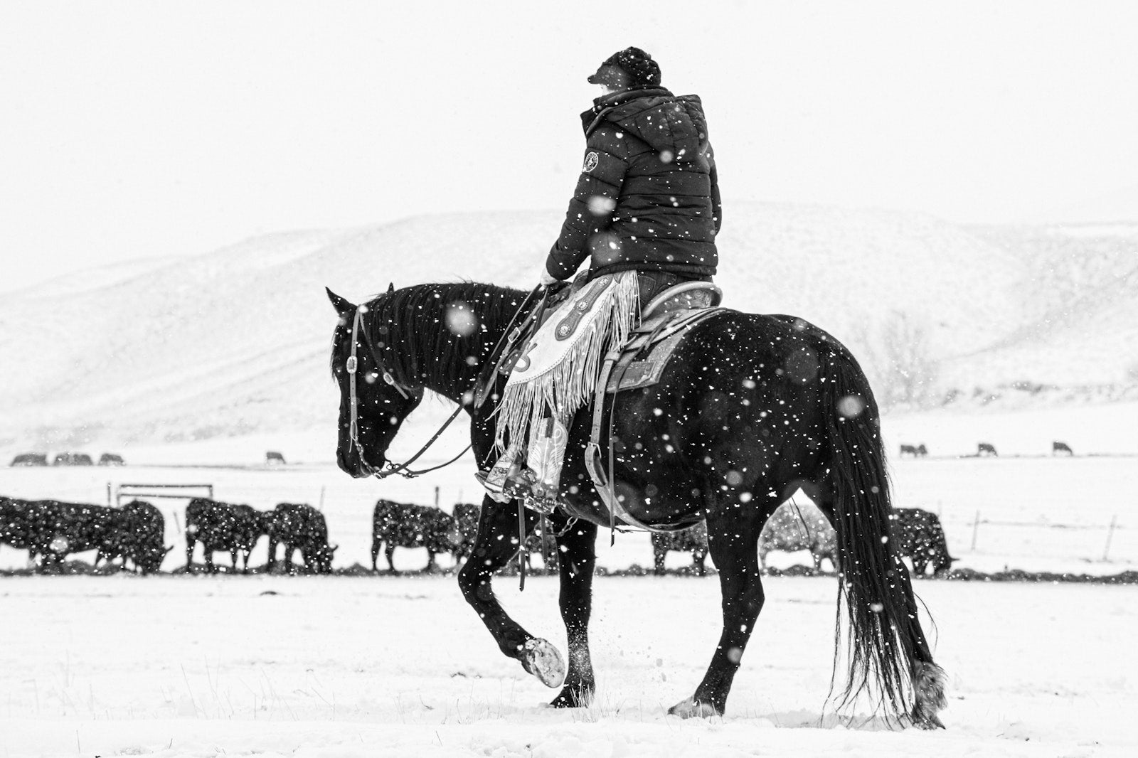 A Ranch Year