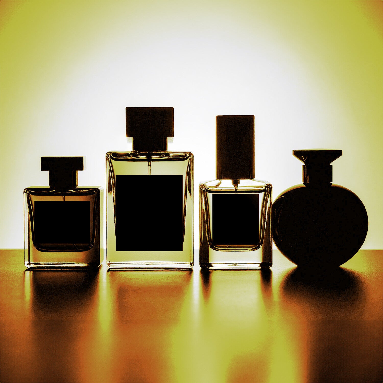 Women's Premium Fragrance Bundle