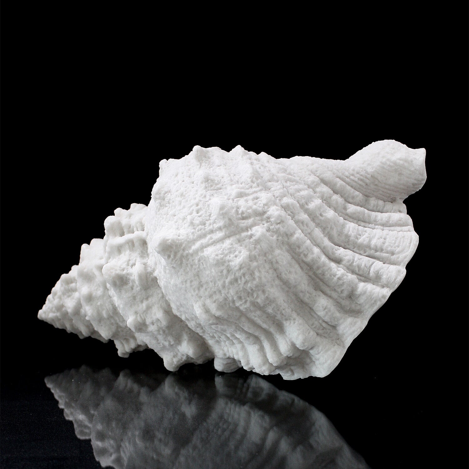 Cast Resin Conch Lamp