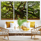 Angel Oak Tree Wall Art Canvas Print | Forest Tree Nature Photography Print