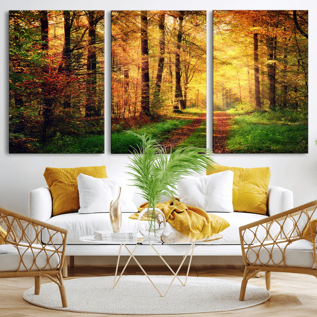 Sunlight Through Trees Wall Art Canvas Print | Autumn Forest Wall Art