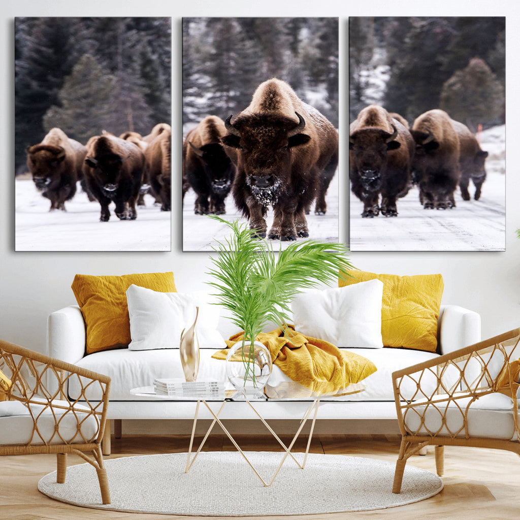Bison Wall Art Canvas Print, Bison Herd Canvas Wall Art