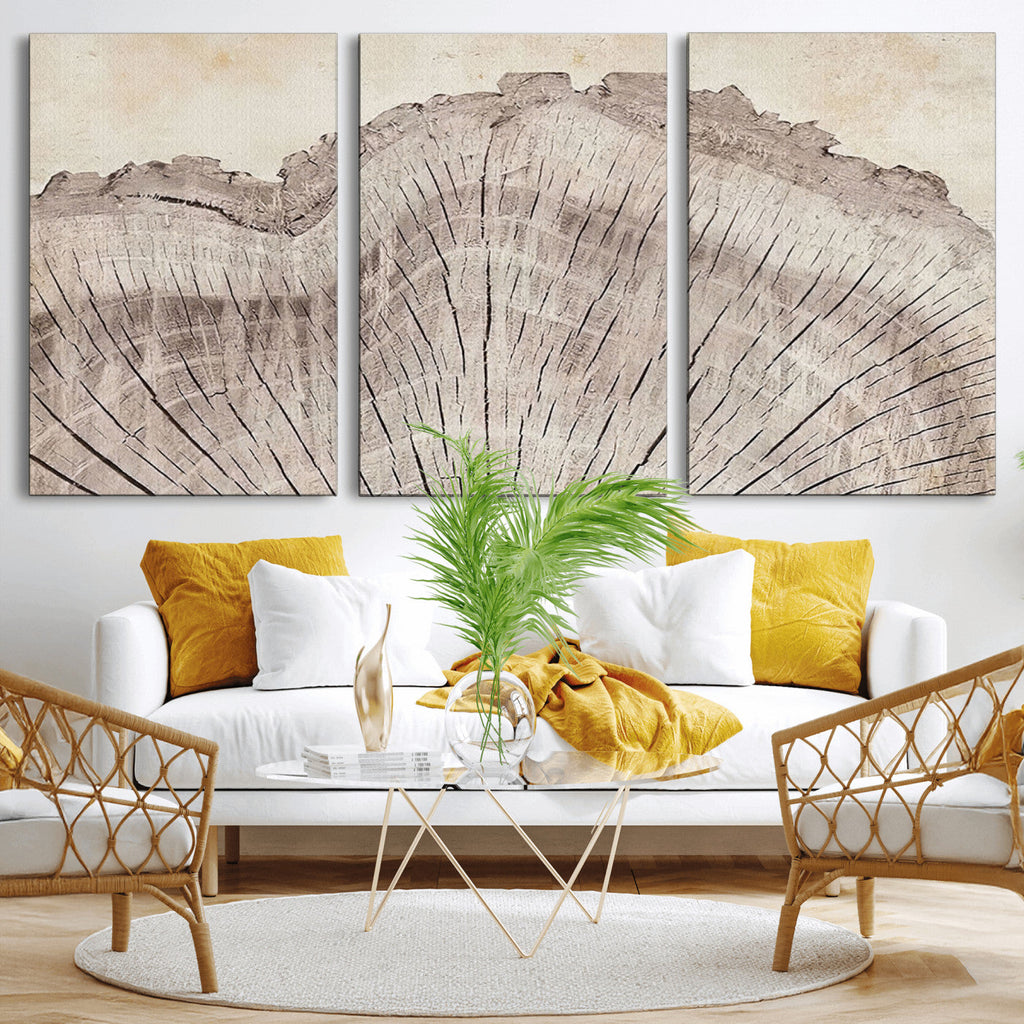 Tree Ring Wall Art Triptych, Rustic Wood Ring Canvas Print