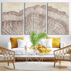 Tree Ring Wall Art Triptych, Rustic Wood Ring Canvas Print