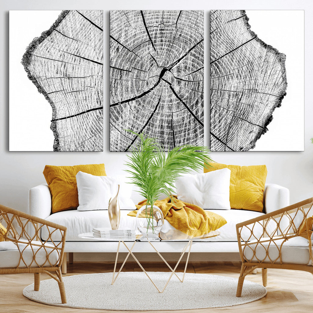 Rustic Tree Ring Wall Art Canvas Print, Framed and Ready to Hang
