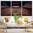 Texas Stadium Night Game Wall Art Canvas Print, Vibrant Football Fireworks Scene