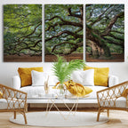Historic Tree Wall Art | Framed Mossy Branch Canvas Artwork
