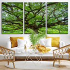 Ancient Tree Wall Art Canvas Print, Framed Sprawling Branches