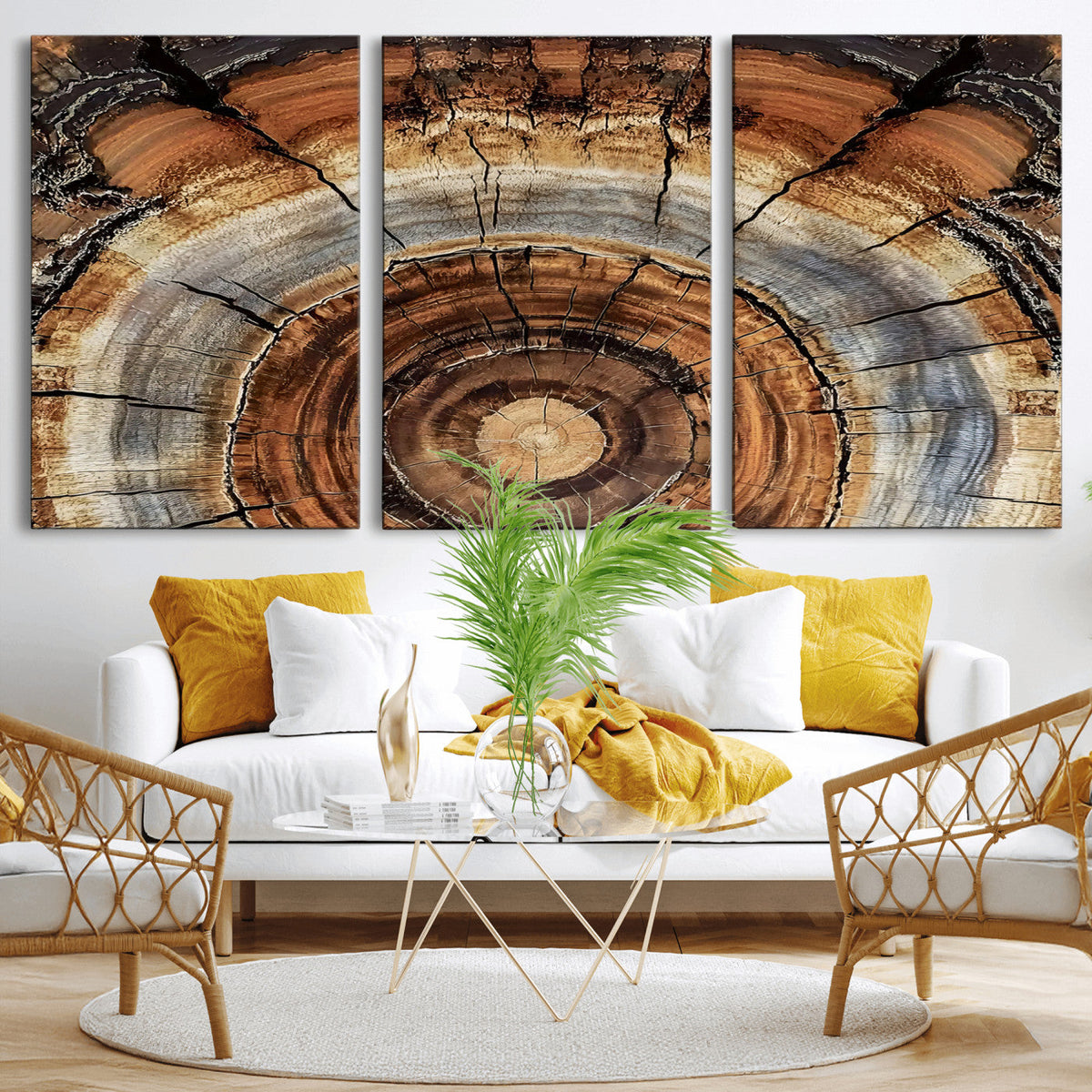 Tree Rings Wall Art Canvas Print, Rustic Wood Grain