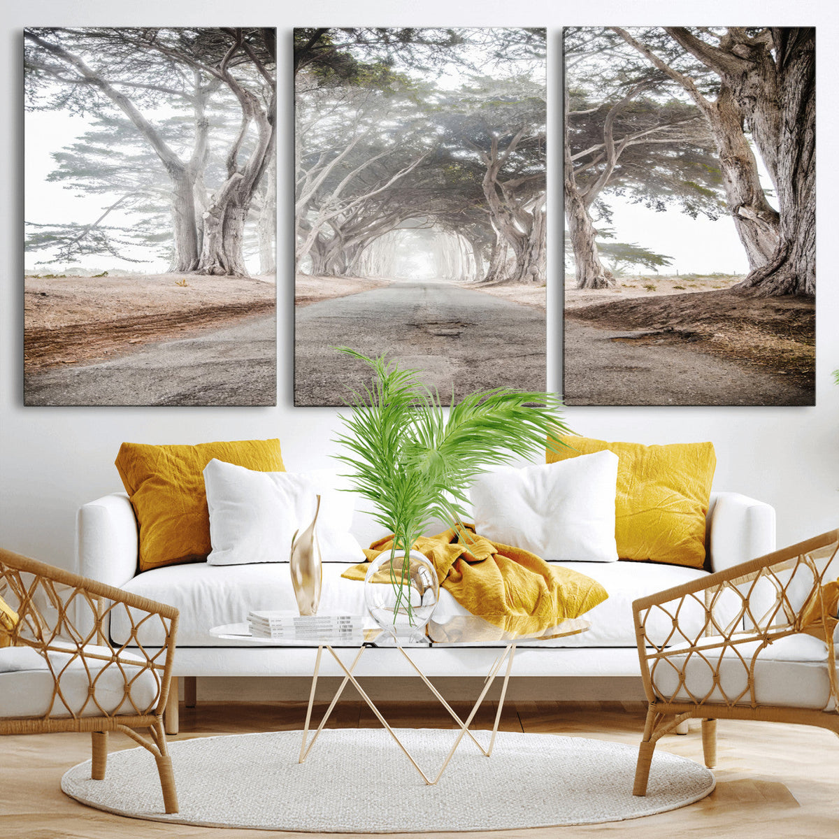 Cypress Tunnel Wall Art | Framed Misty Road Canvas Artwork