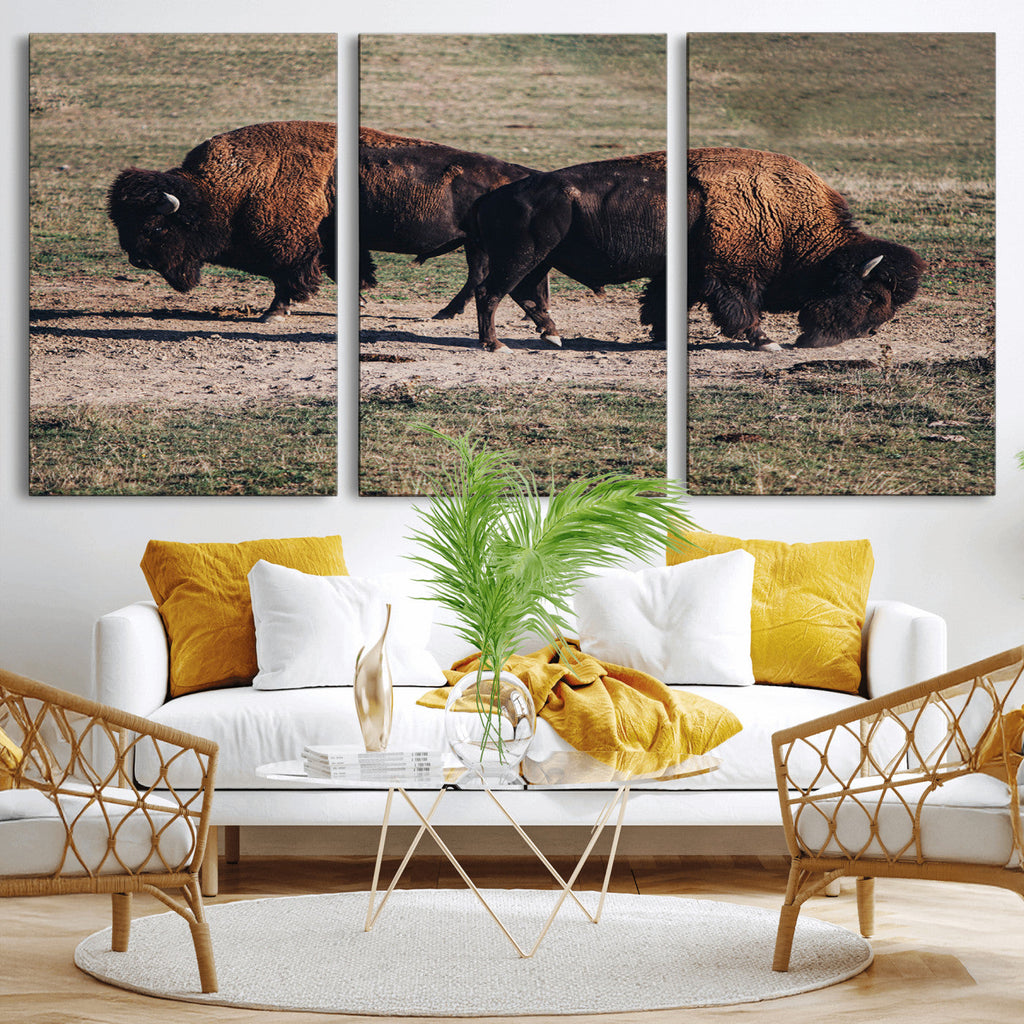 Bison Wall Art Canvas Print, Framed Western Wildlife Modern Ranch