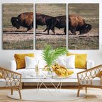 Bison Wall Art Canvas Print, Framed Western Wildlife Modern Ranch