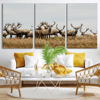 Elk Herd Wall Art Canvas Print, Framed Wildlife Photography Art, Majestic Antlers Rustic Wildlife Decor