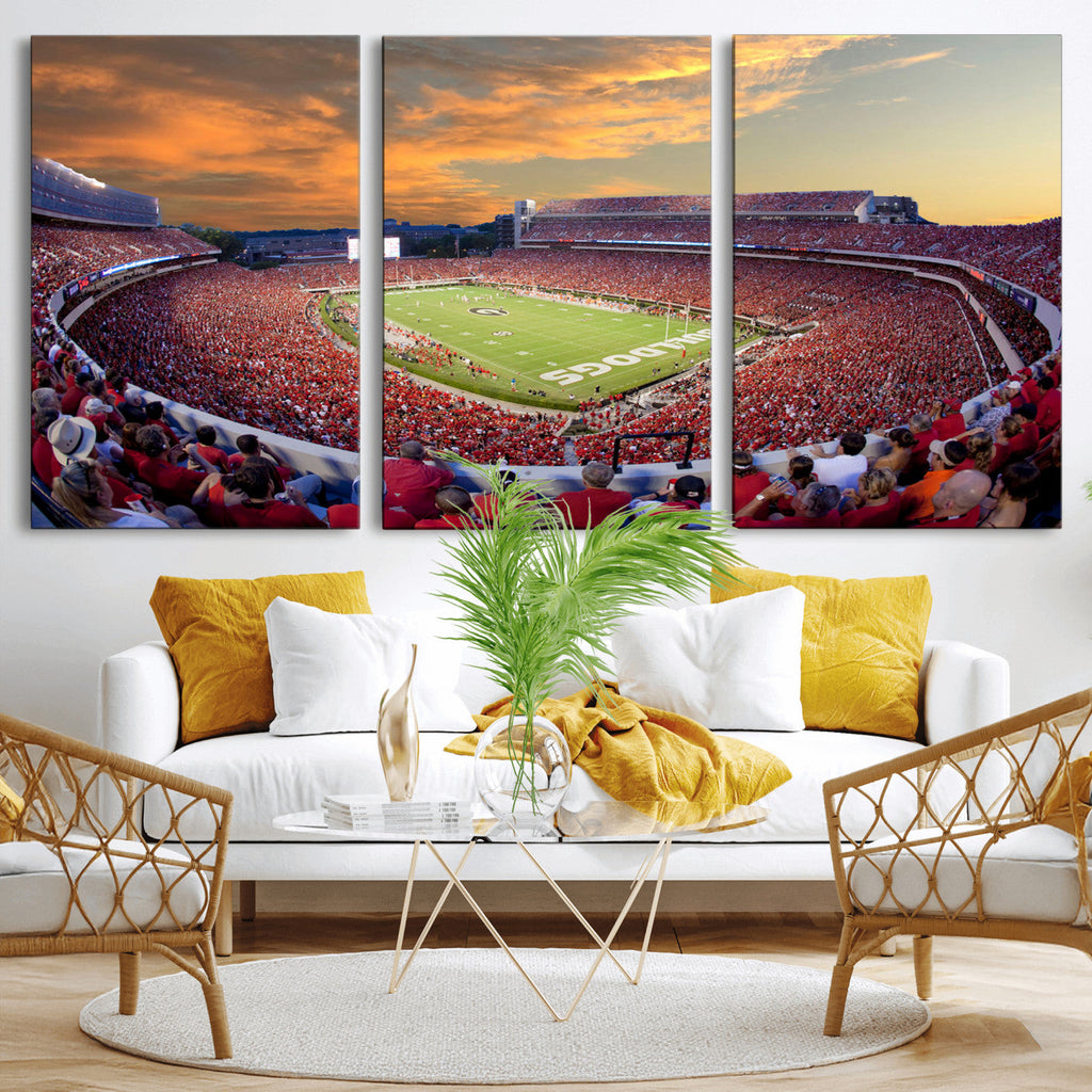 Dooley Stadium Wall Art, Sports Arena Canvas Print, Dooley Field, Framed and Ready to Hang
