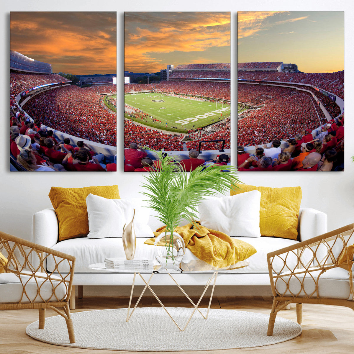 Dooley Stadium Wall Art, Sports Arena Canvas Print, Dooley Field, Framed and Ready to Hang