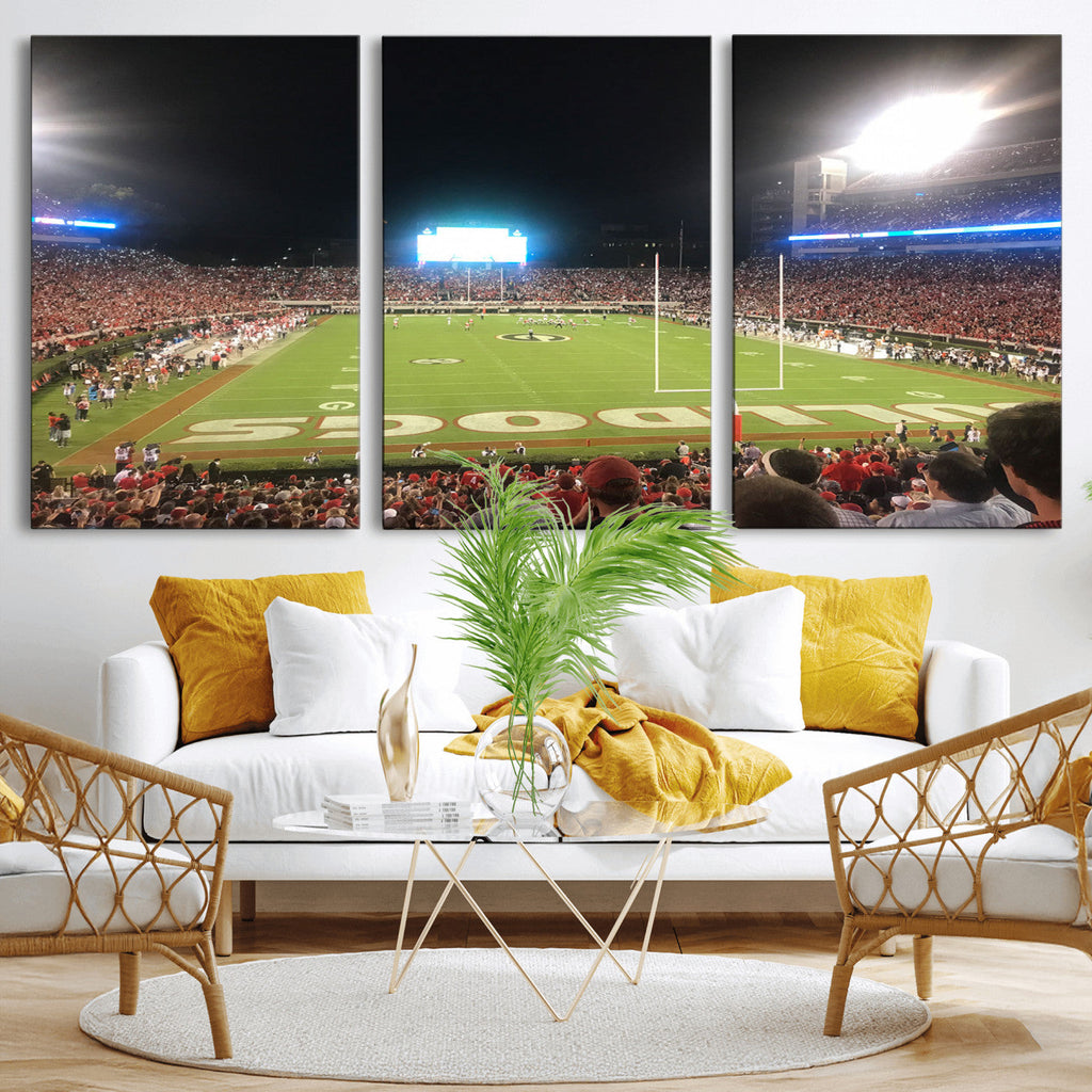 Dooley Stadium Wall Art, Sports Arena Panoramic Canvas