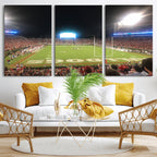 Dooley Stadium Wall Art, Sports Arena Panoramic Canvas