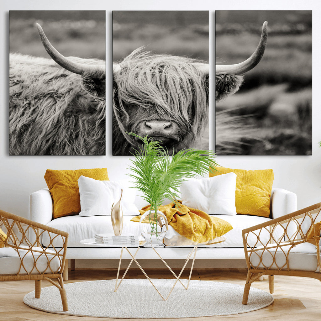 Cow Focus Canvas Wall Art Print