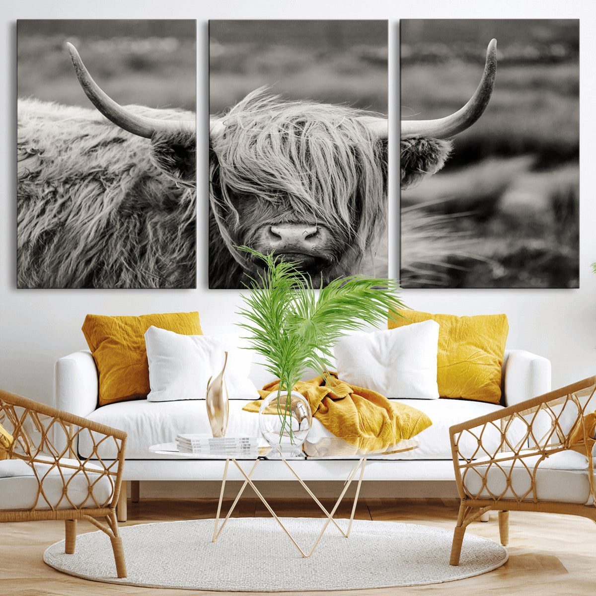 Cow Focus Canvas Wall Art Print