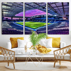 FC Porto Soccer Team Print Canvas, Dragon Stadium Wall Art