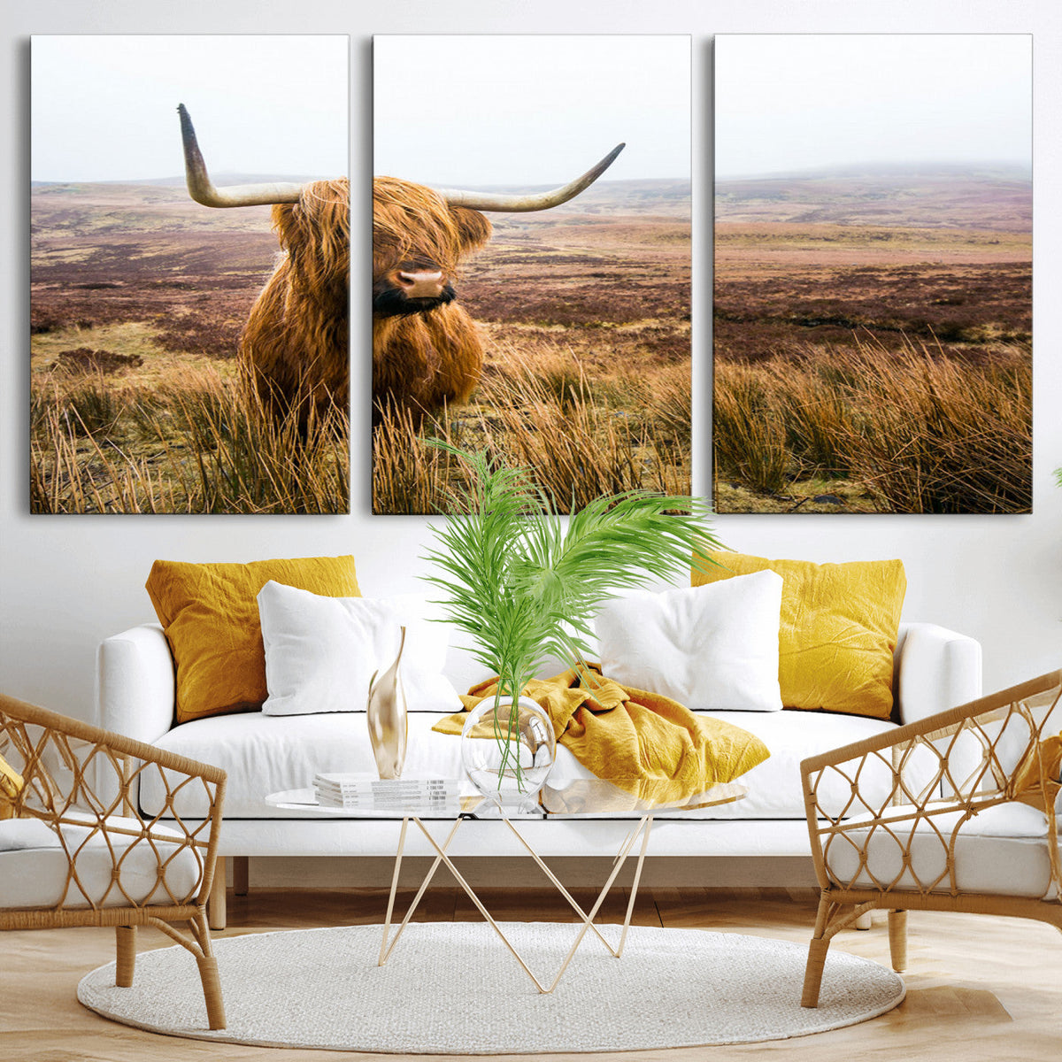 Scottish Highland Cow Canvas Wall Art, Rustic Farmhouse Decor