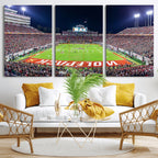 Wolfpack Football Team Print, Raleigh Carter-Finley Stadium