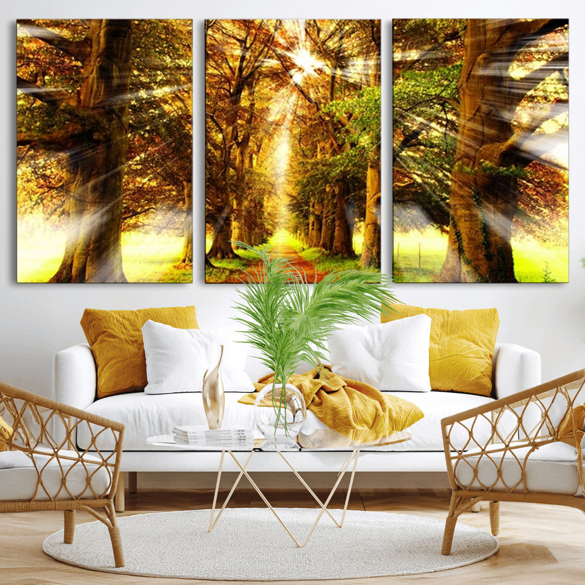Sunshine in Forest and Trees Wall Art Canvas Print