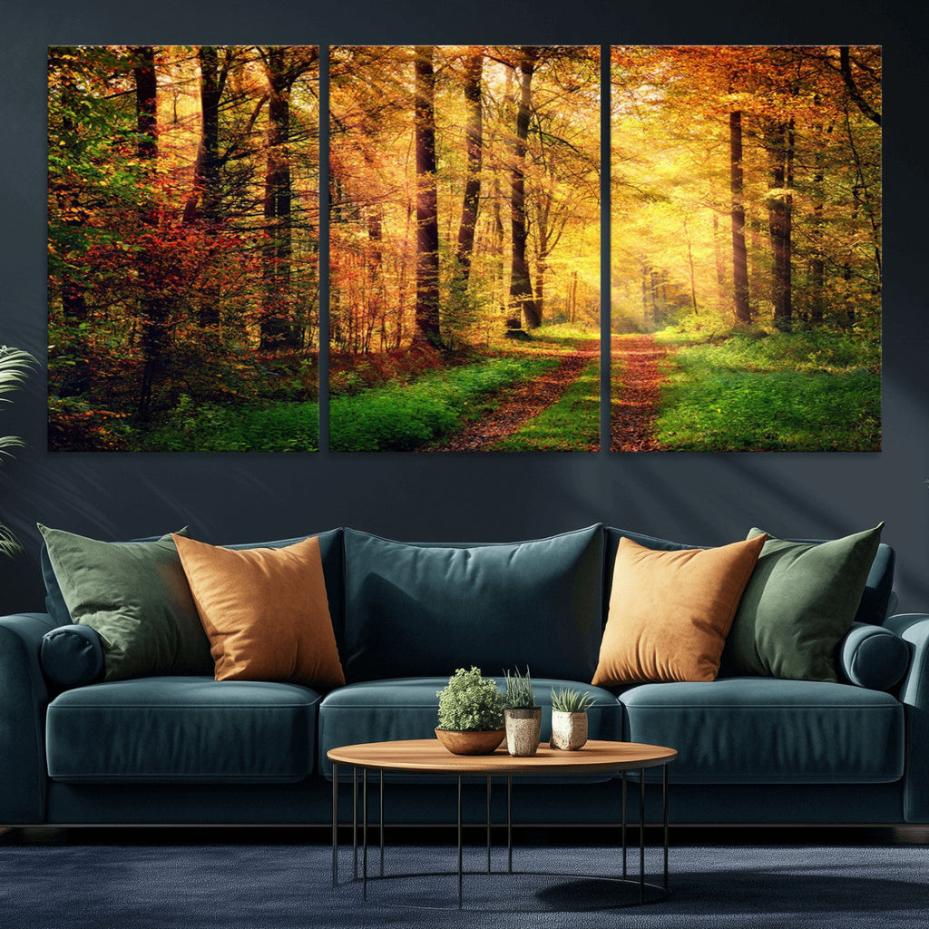 Sunlight Through Trees Wall Art Canvas Print | Autumn Forest Wall Art